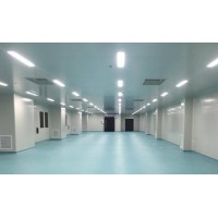 100萬(wàn)級(jí)無(wú)塵車(chē)間30萬(wàn)級(jí)凈化車(chē)間裝修建設(shè)施工